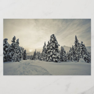 Winter Magic Stationery