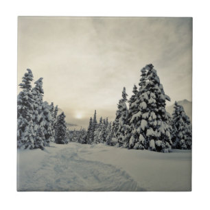 Winter Magic Tile