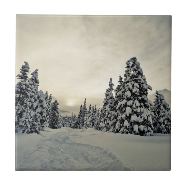 Winter Magic Tile (Front)