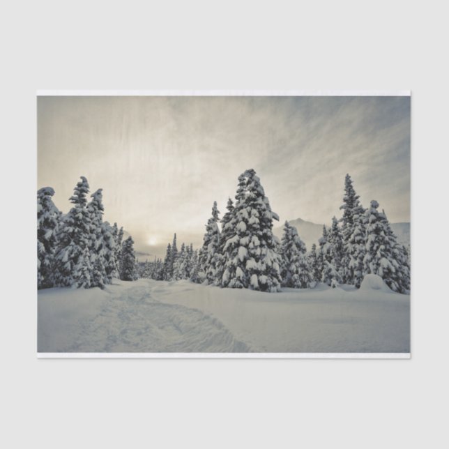 Winter Magic Tissue Paper (Front)