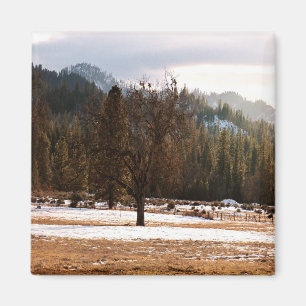 Winter..... Magnet
