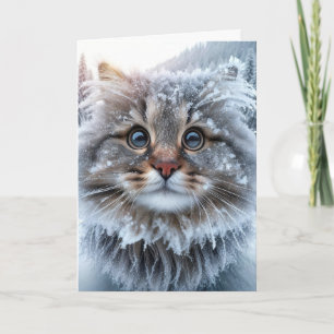 Winter Maine Coon Cat Birthday Humor Card