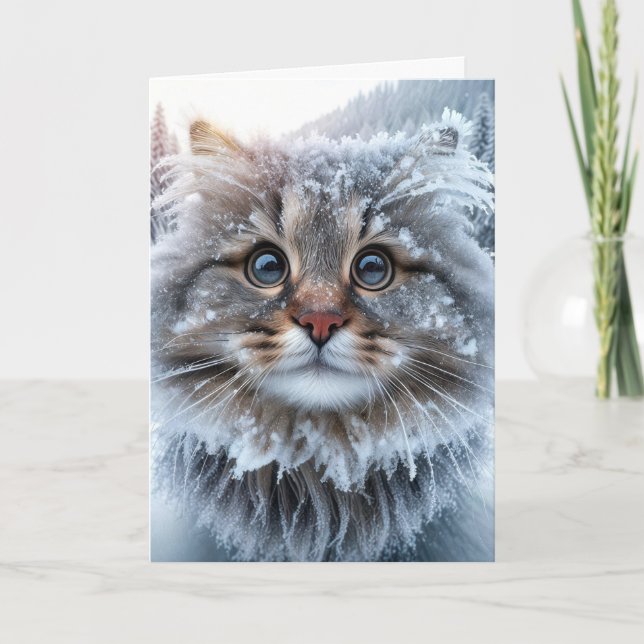 Winter Maine Coon Cat Birthday Humour Card (Front)
