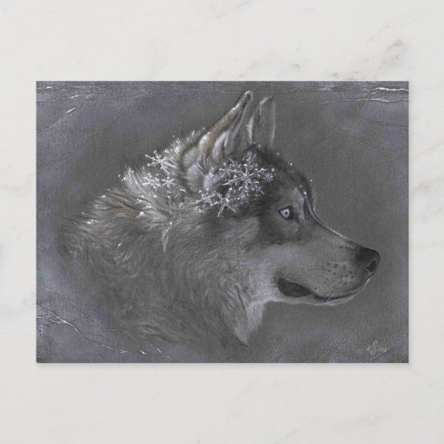 Winter Maker Postcard (Front)