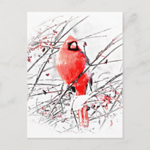 WINTER MALE CARDINAL POSTCARD
