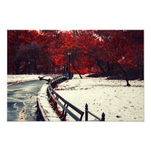 Winter Meets Fall in Central Park, NYC Photo Print