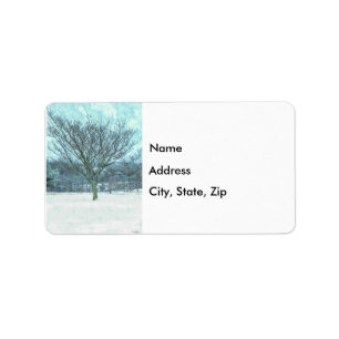 Winter Mimosa Painterly Address Label