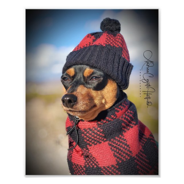 Winter Min Pin Photo Print (Front)