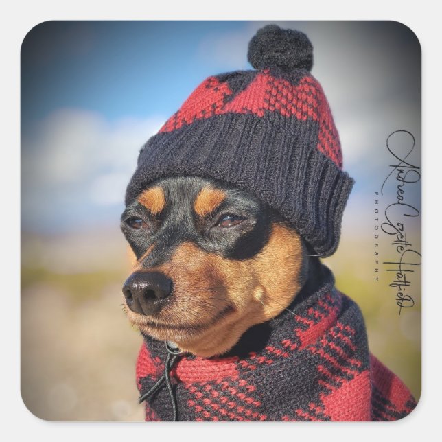 Winter Min Pin Square Sticker (Front)