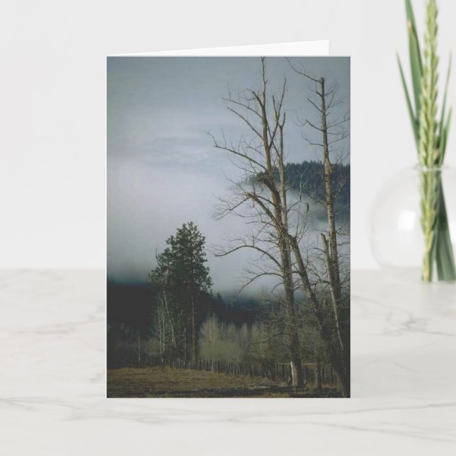 Winter Mist Greetings Card (Front)