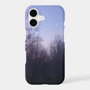 Winter Moon Morning Landscape Photography