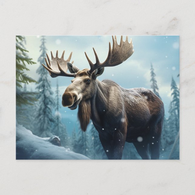 Winter Moose Holiday Postcard (Front)