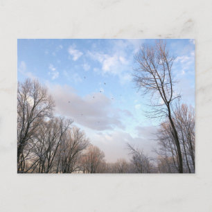 Winter Morning I Postcard