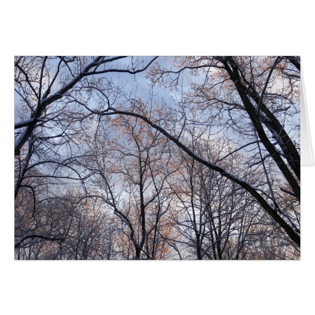 Winter Morning II Nature Landscape (Front Horizontal)