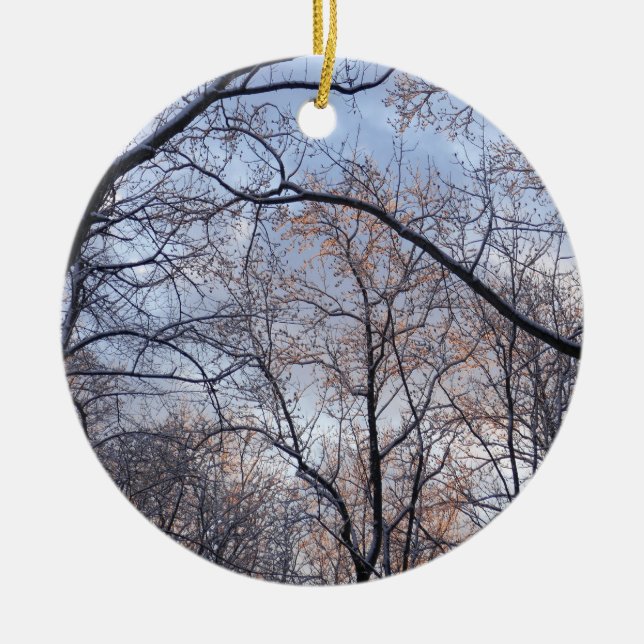 Winter Morning II Nature Landscape Ceramic Tree Decoration (Front)