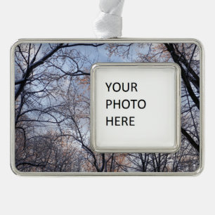 Winter Morning II Nature Landscape Silver Plated Framed Ornament