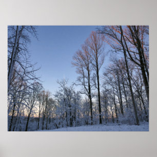 Winter Morning Light I Poster