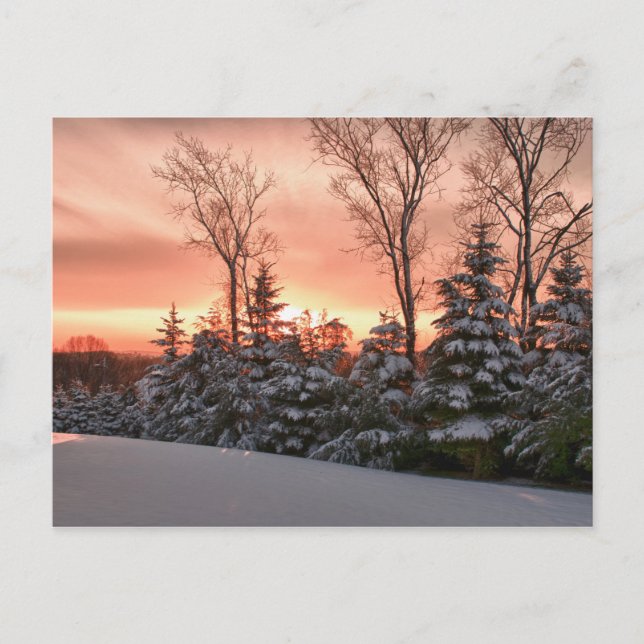 Winter morning sunrise postcard (Front)