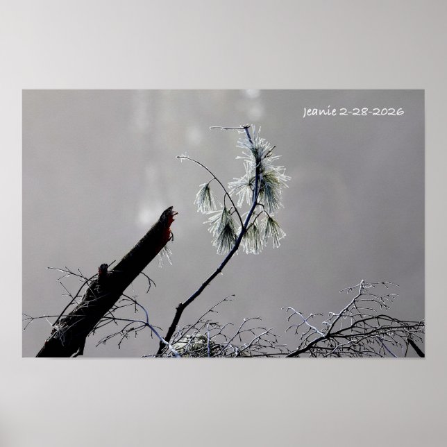 Winter nature poster (Front)