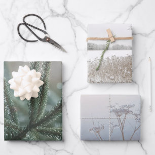 Winter nature, set of 3 different art photos wrapping paper sheet