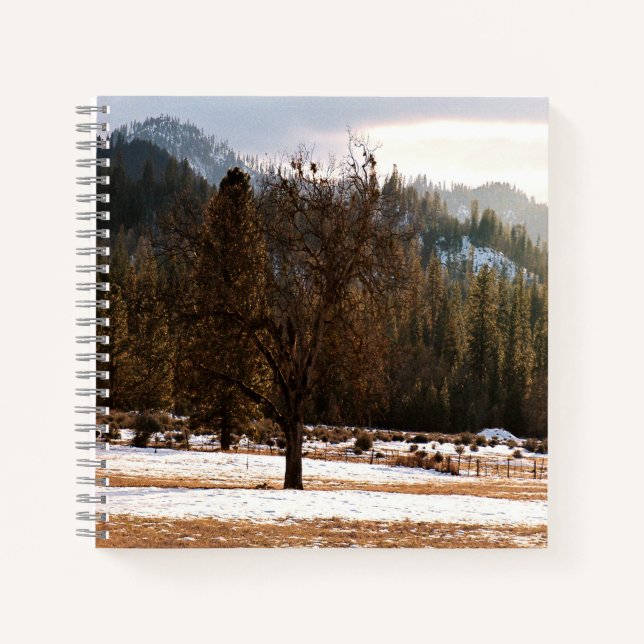 Winter..... Notebook (Front)