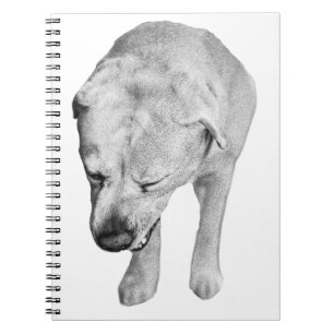 Winter Notes with Shaded Lab Muse Notebook