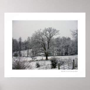 Winter Oak Poster