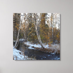 Winter on Chester Creek Stretched Canvas Print