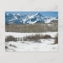 Winter on Dallas Divide Postcard