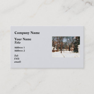 Winter on My Street Business Card