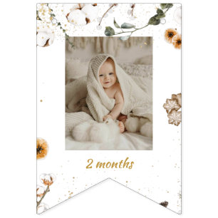 Winter Onderland Birthday Monthly Photo Bunting