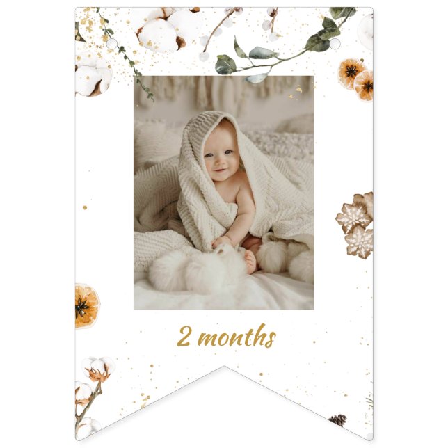 Winter Onderland Birthday Monthly Photo  Bunting (Third Flag)