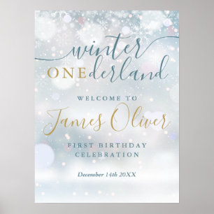 Winter Onederland 1st Birthday Blue Gold Welcome Poster