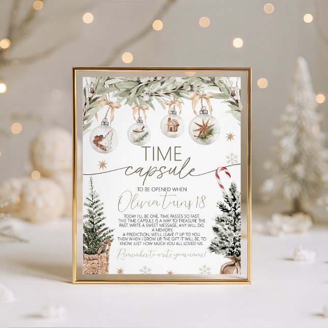 Winter Onederland Time Capsule Sign (Creator Uploaded)