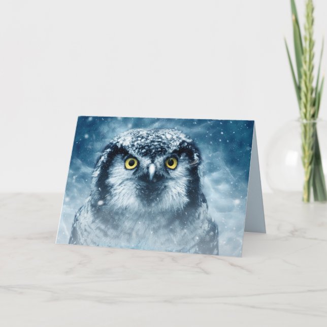 winter owl greeting card (Front)