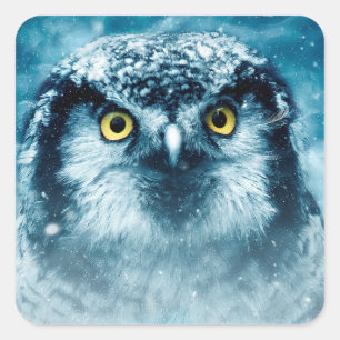winter owl stickers