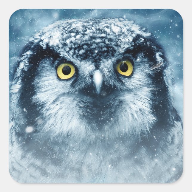 winter owl stickers (Front)