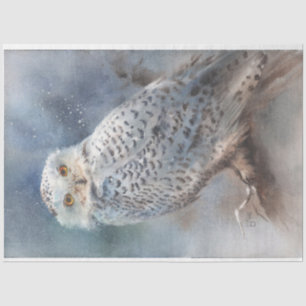 Winter Owl Tissue Paper