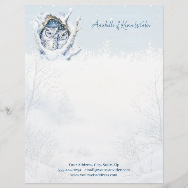 Winter Owls Snowflakes Letterhead (Front)