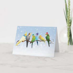 Winter Parakeets & Cockatiels Holiday Card