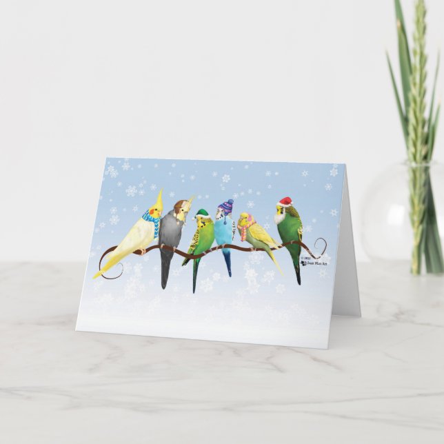 Winter Parakeets & Cockatiels Holiday Card (Front)