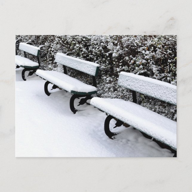 Winter park benches postcard (Front)