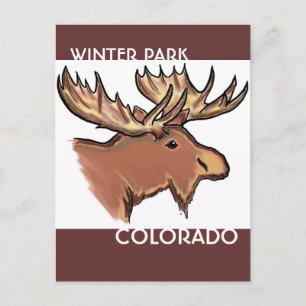 Winter Park Colorado brown moose postcard