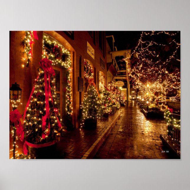 winter park, florida poster (Front)