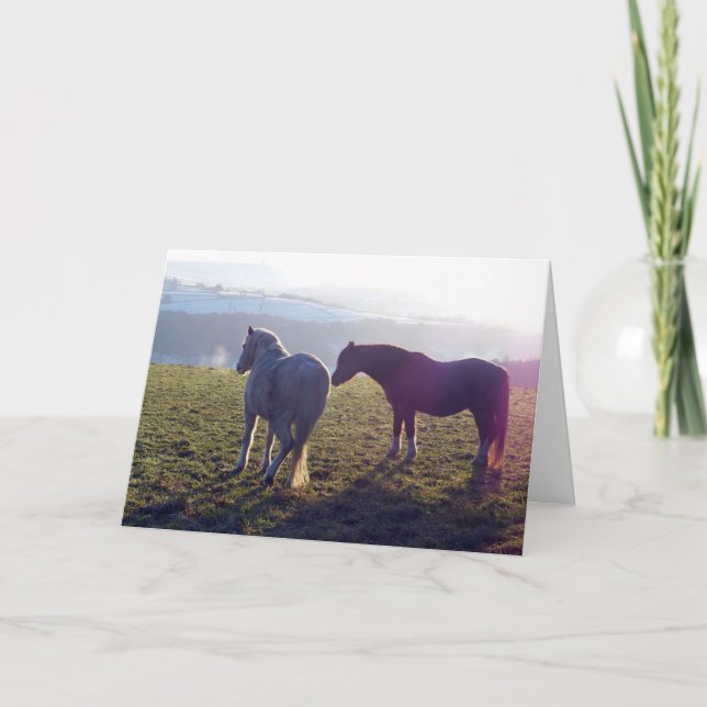 Winter pasture horse card (Front)