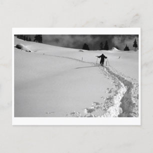 WINTER PATH POSTCARD