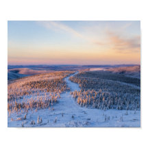 Winter Path