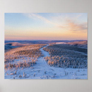 Winter Path Poster