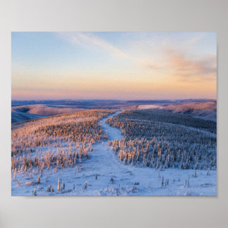 Winter Path Poster
