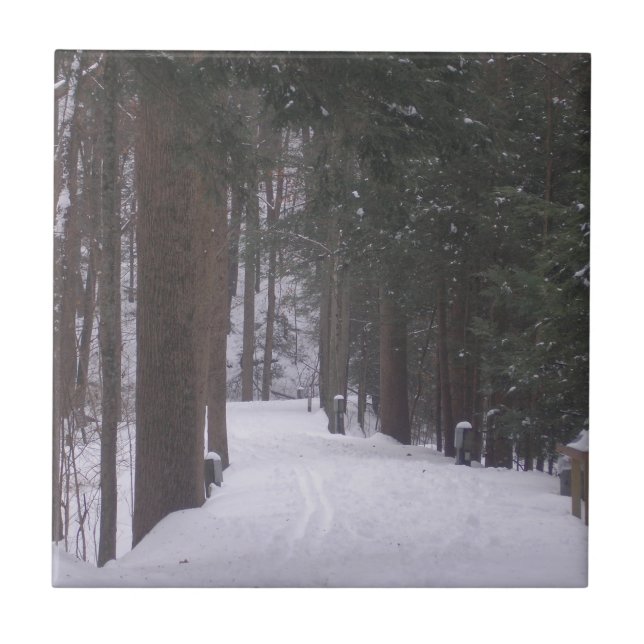 "Winter Path" Tile (Front)